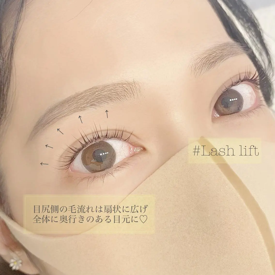 【パッチリ目元に！】ラッシュリフト(上下)/アイシャンプー/コーティングTR付の写真