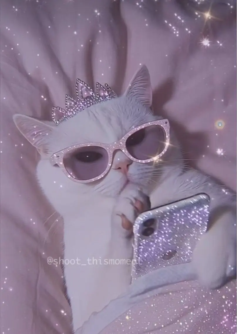 マツエク・マツパ 🎀eyelist. mizuki🐈⬛の眉毛・アイブロウイメージ