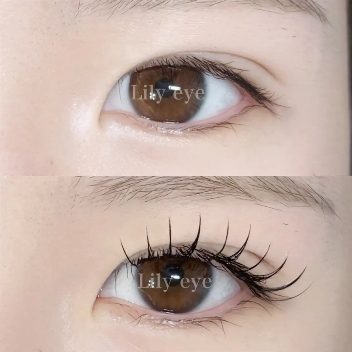 マツエク・マツパ フラットラッシュ マツエク まつ毛専門店 Lily eyeのマツエク・マツパデザイン