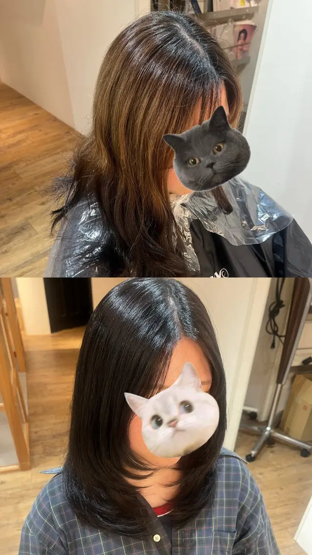ミディアム くびれヘア ハイレイヤー レイヤーカット カラー/カット 🕊‎佐藤友奈‎🤍のヘアスタイル