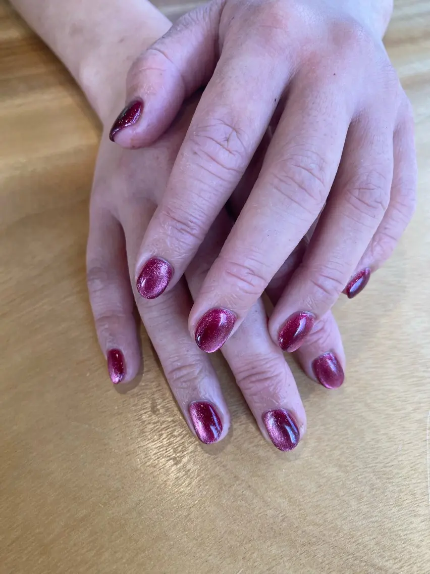 ネイル マグネットネイル 25nail Erikaのネイルデザイン