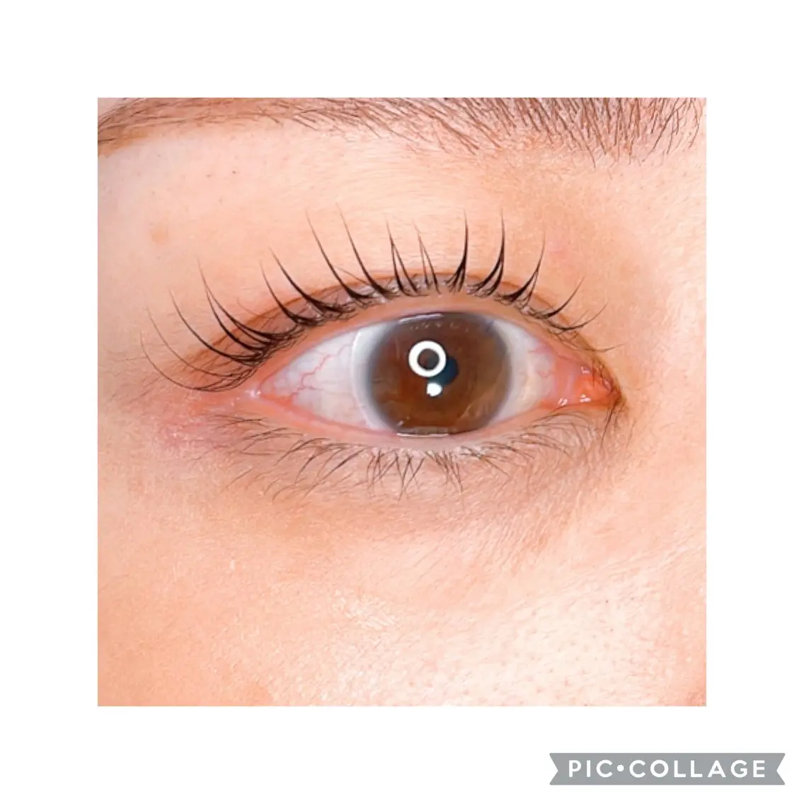 マツエク・マツパ マツパ Eyelash MAVIEのマツエク・マツパデザイン