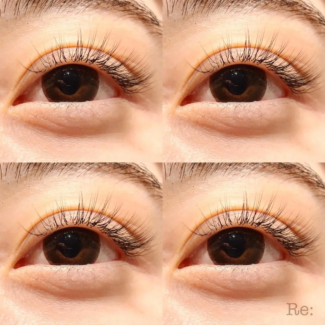 マツエク・マツパ フラットラッシュ Jカール ナチュラル セーブル マツエク Lash Re:のマツエク・マツパデザイン