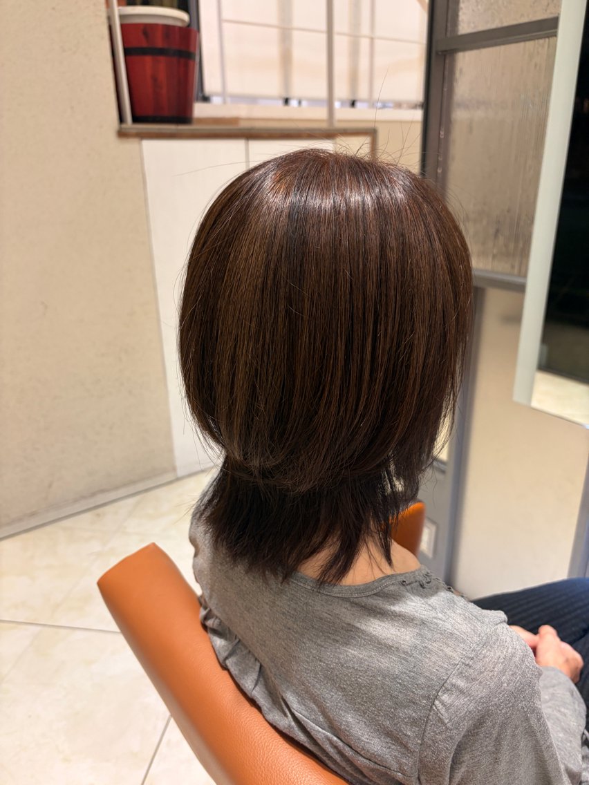 セミロング カラー ウルフカット カット ヘアカラー 田中 愛子のヘアスタイル