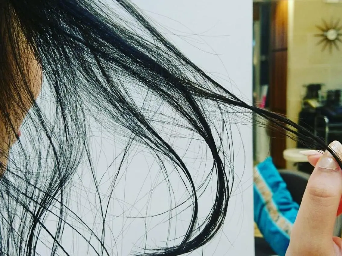 ミディアム カラー 黒髪 ブルーカラー ブルーブラック kawabe maikoのヘアスタイル