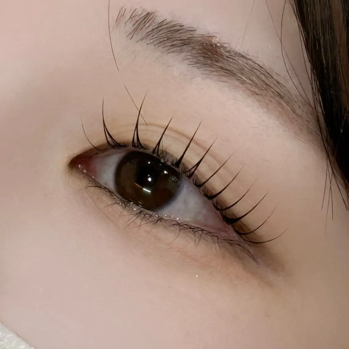 まつ毛パーマ🩷️トリートメント付き👀の写真