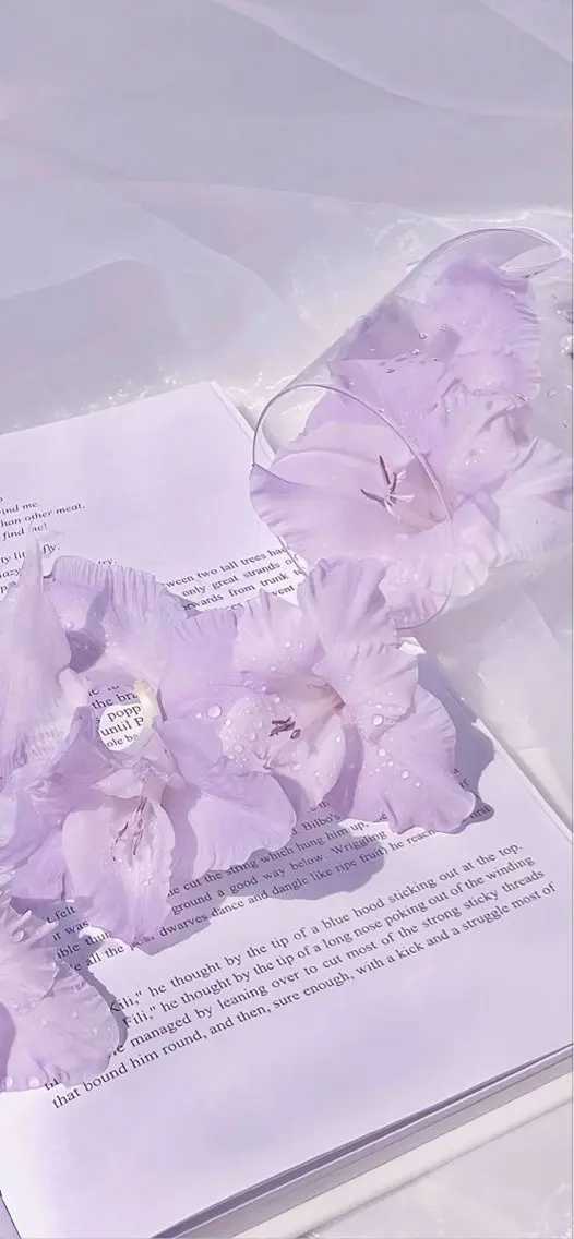 SSINSTUDIO 𝑴𝒊𝒉𝒐🦋のその他イメージ