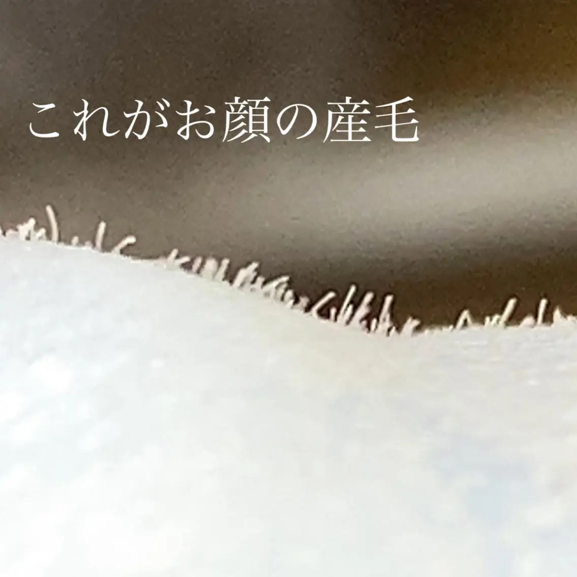 まつげと艶肌 サロンモニター＆練習のマツエク・マツパデザイン