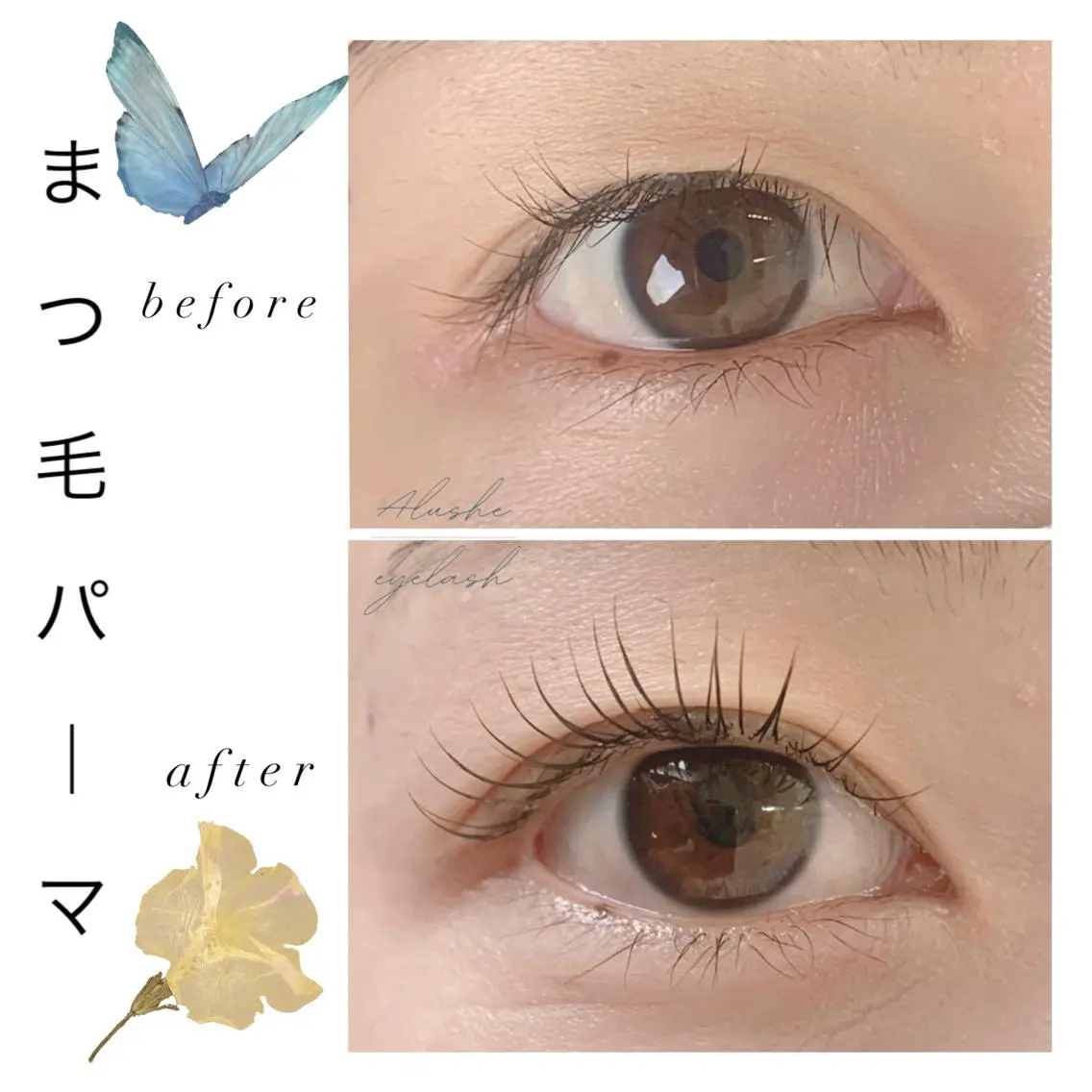 マツエク・マツパ ⁺˚･༓☾アルーシェ みゆり☽༓･˚⁺のマツエク・マツパデザイン