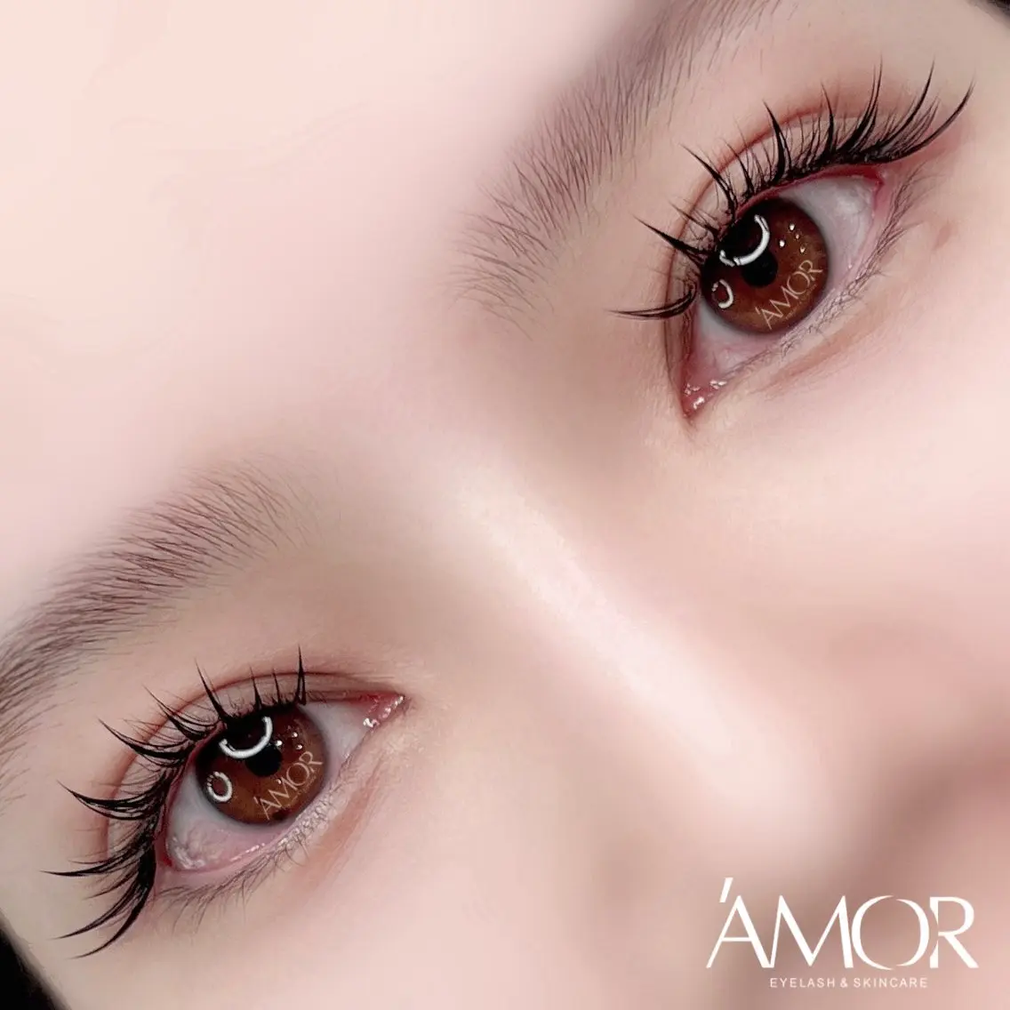 マツエク・マツパ 付け放題 パリジェンヌラッシュリフト ワンホンマツエク マツエク AMOR EYELASHのマツエク・マツパデザイン