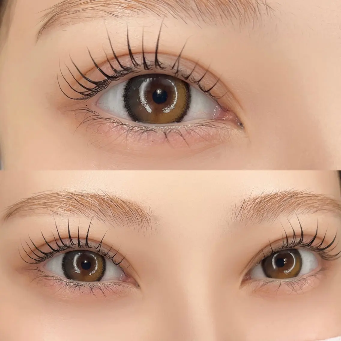 《ミニモ限定👁✨》しっかり立ち上がる♪パリジェンヌラッシュリフト+美容コーティング付の写真