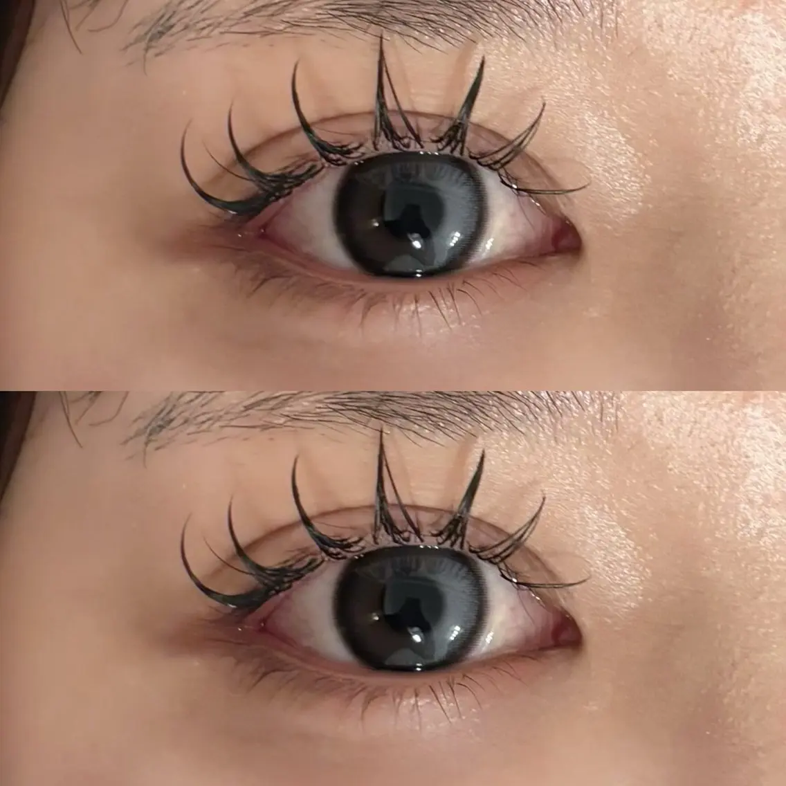 【持ち最強】🍀ダブルフラットラッシュ🍀120束（240本）【LED変更1000円】の写真