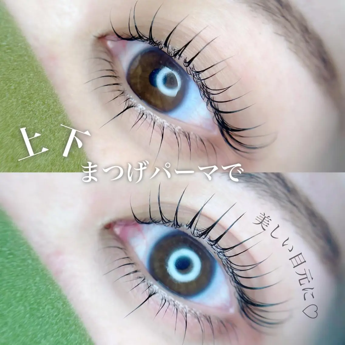 マツエク・マツパ mignon /まつげパーマ・小顔の眉毛・アイブロウイメージ