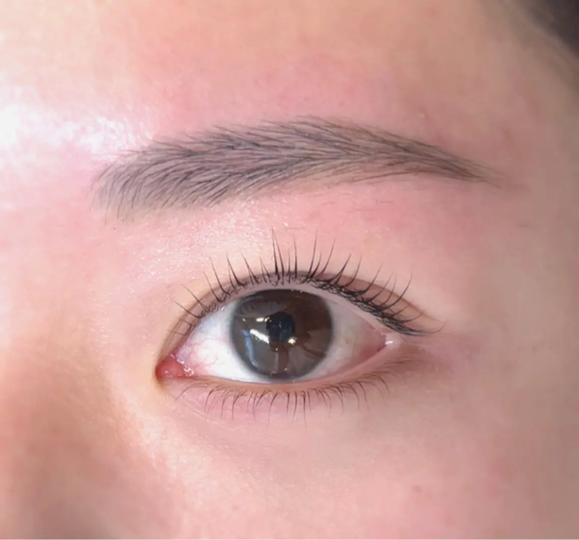 ラッシュリフト上下+眉ワックスの写真
