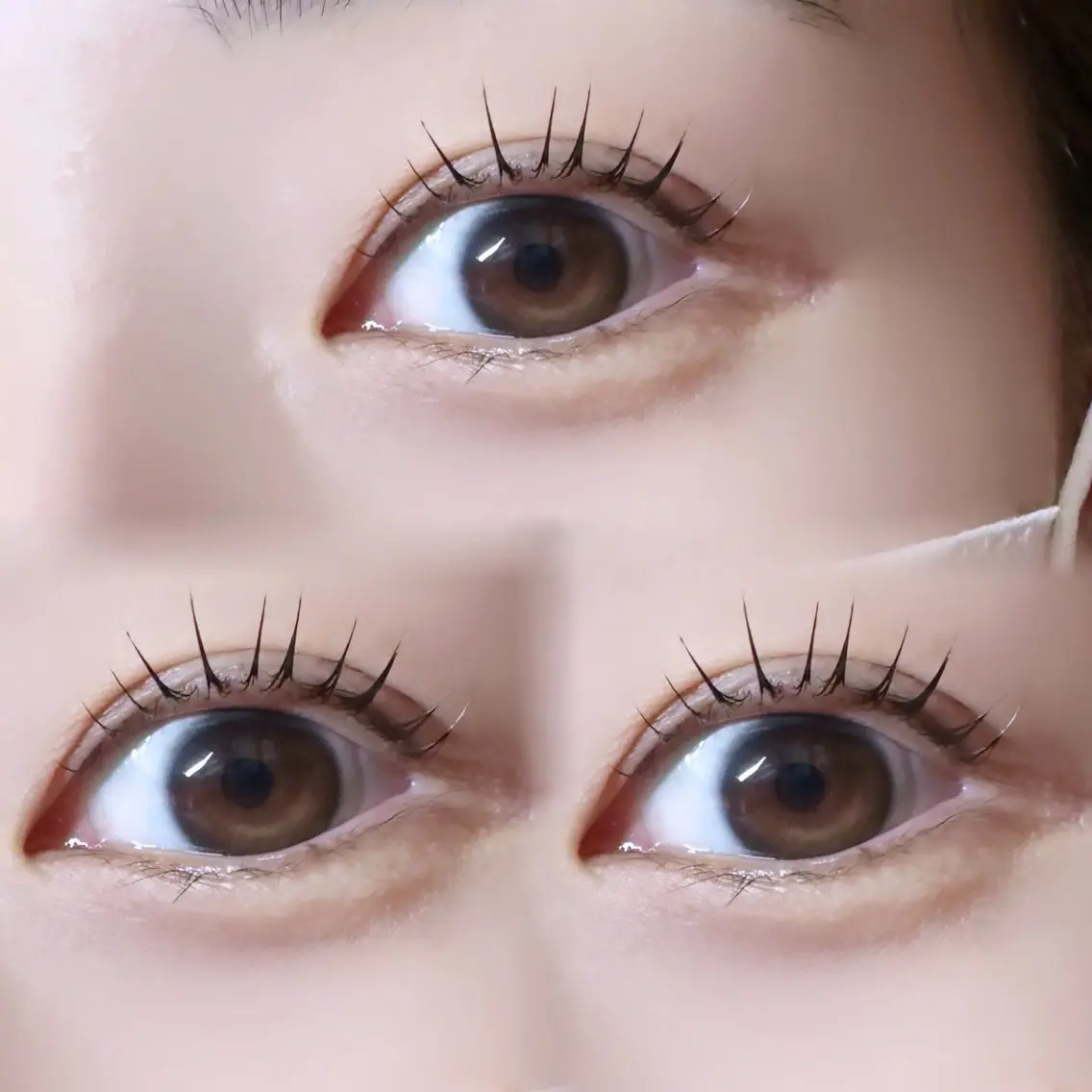 マツエク・マツパ 【MEPP】たにわき ゆうなの眉毛・アイブロウイメージ