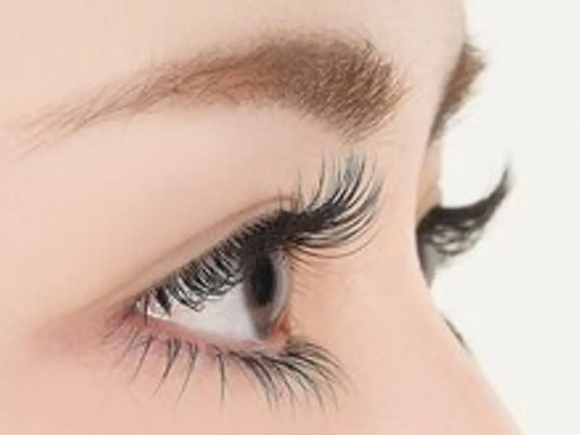 マツエク・マツパ EyeLash 新大久保店のマツエク・マツパデザイン