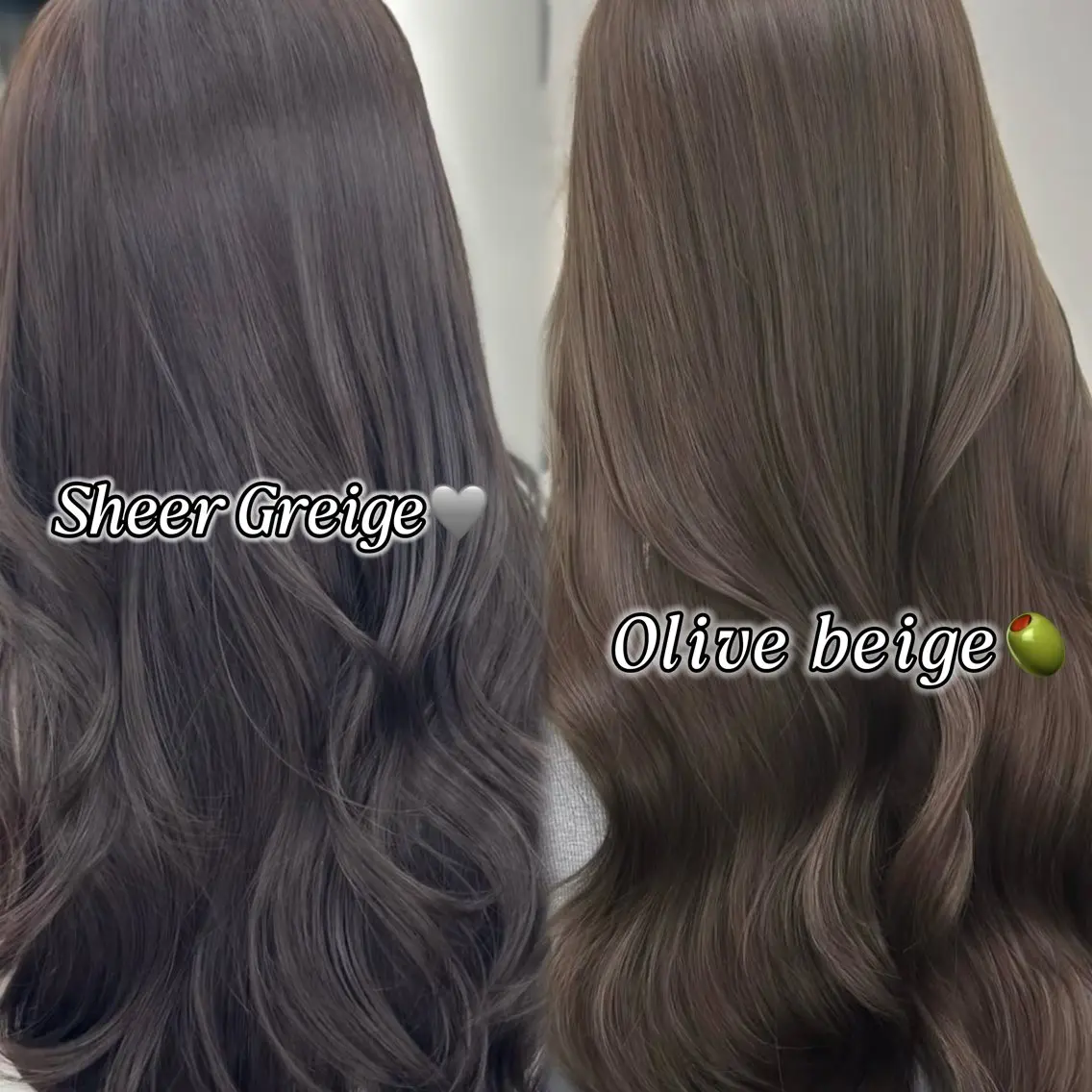 カラー ベージュカラー ブリーチ グレージュ ブリーチなしカラー オリーブベージュ カット ヘアカラー トリートメント 韓国レイヤー🇰🇷 /縮毛矯正💎/月音のヘアスタイル
