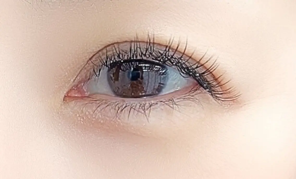 フラットラッシュ100本の写真