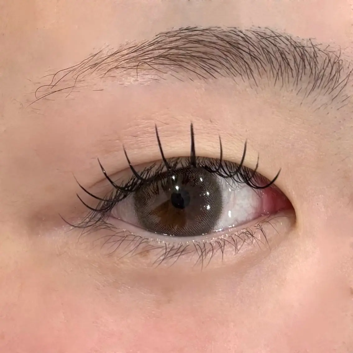 マツエク・マツパ フラットラッシュ マツエク eyelash mimi🩶のマツエク・マツパデザイン