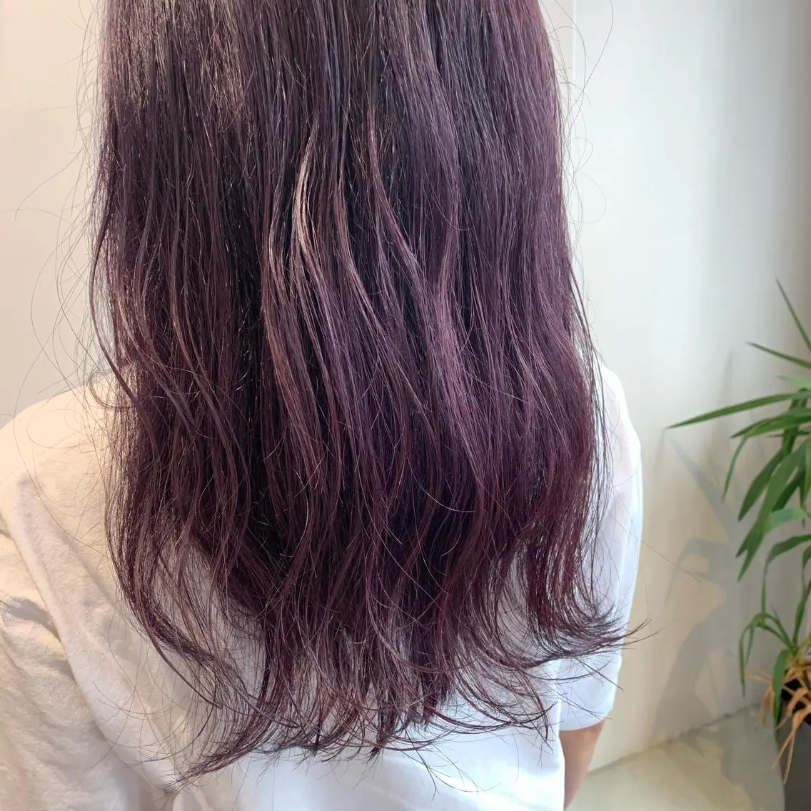 セミロング カラー ラベンダーカラー "小顔カット" Fuko.のヘアスタイル