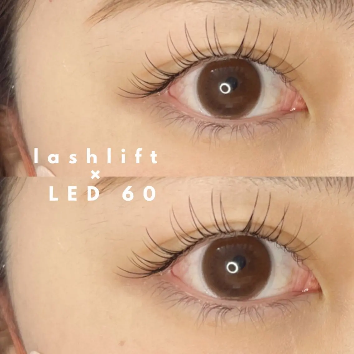 マツエク・マツパ 《eyelash ｉｉｔｅ》森のマツエク・マツパデザイン