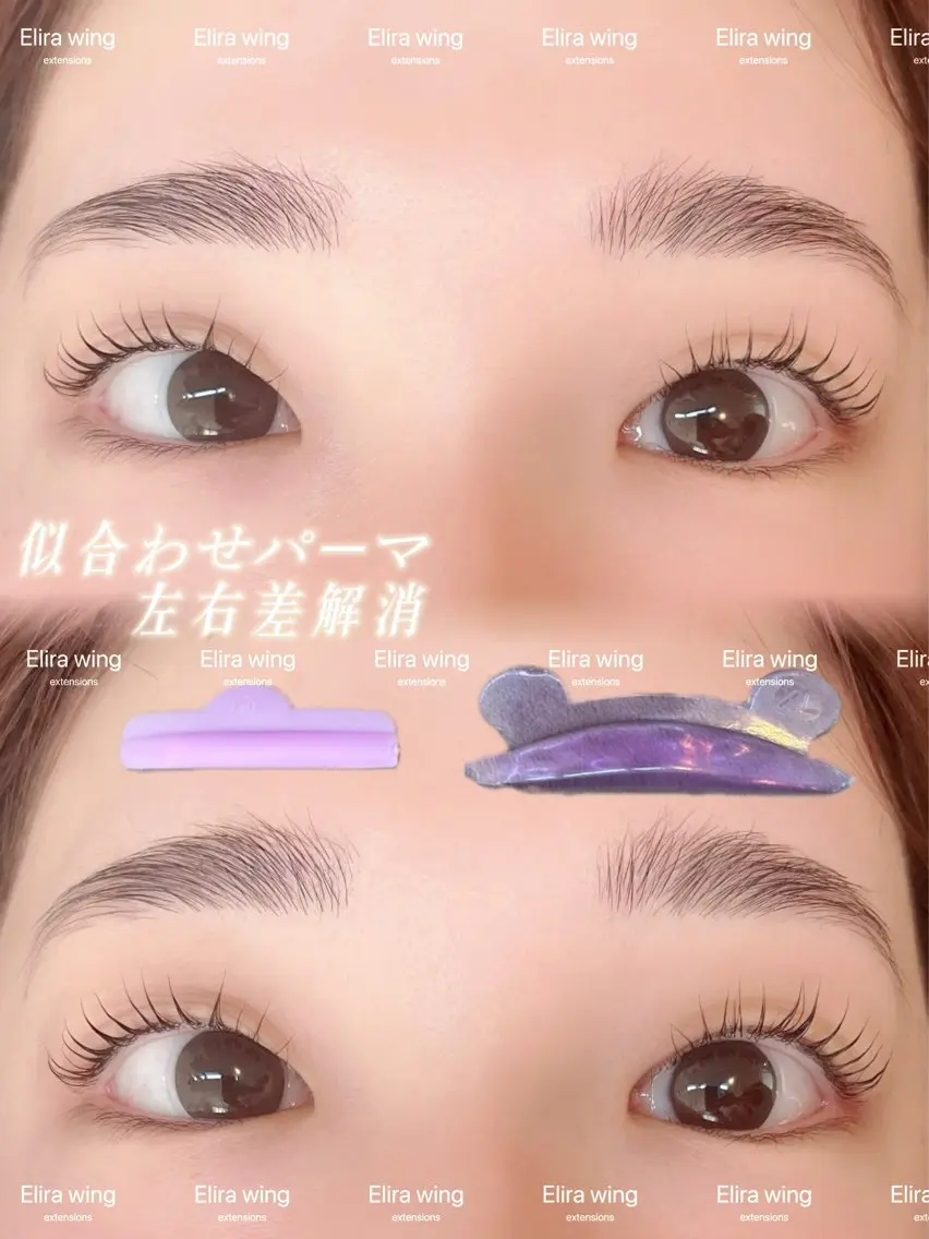 マツエク・マツパ マツパ Elira wingのマツエク・マツパデザイン