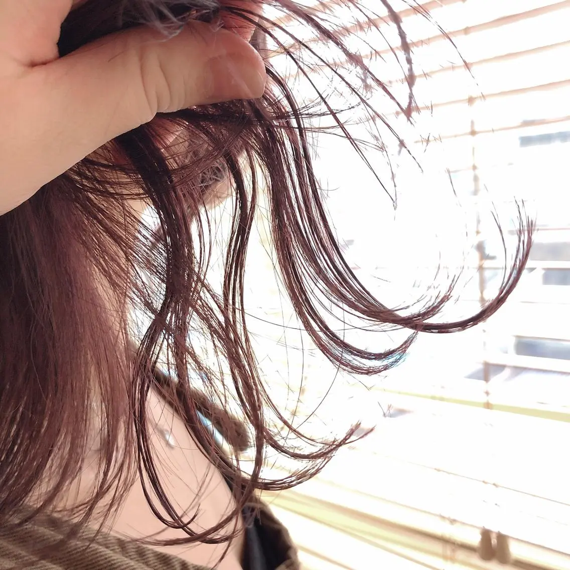 ミディアム カラー アッシュ ラベンダーカラー ラベンダーアッシュ これた🧸ヘアメ職人 ♡髪質改善♡カラーのヘアスタイル
