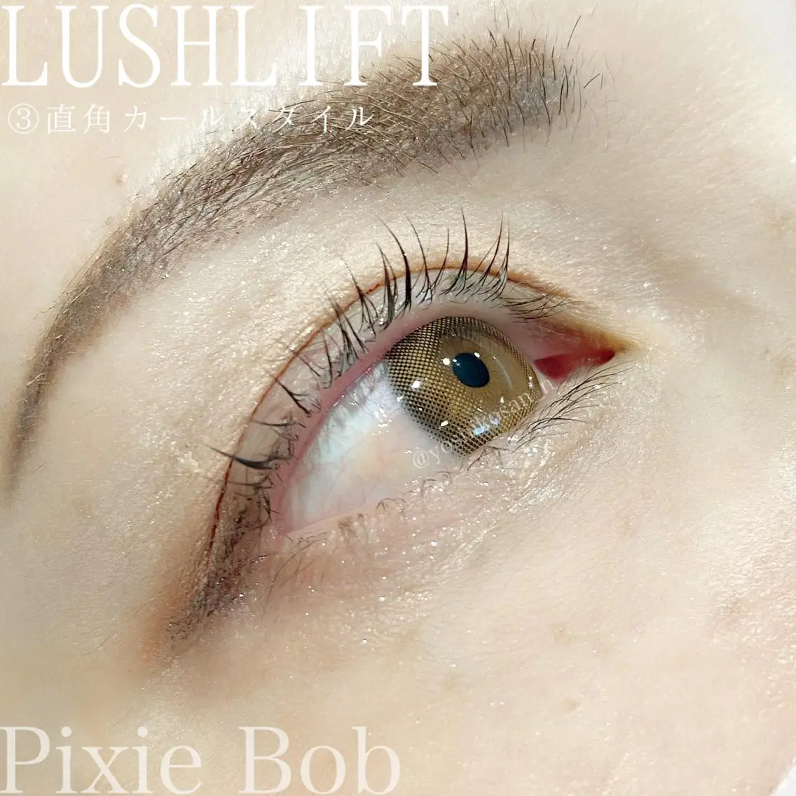 マツエク・マツパ カラーマツエク Pixie Bob 🐈‍⬛　位田のマツエク・マツパデザイン