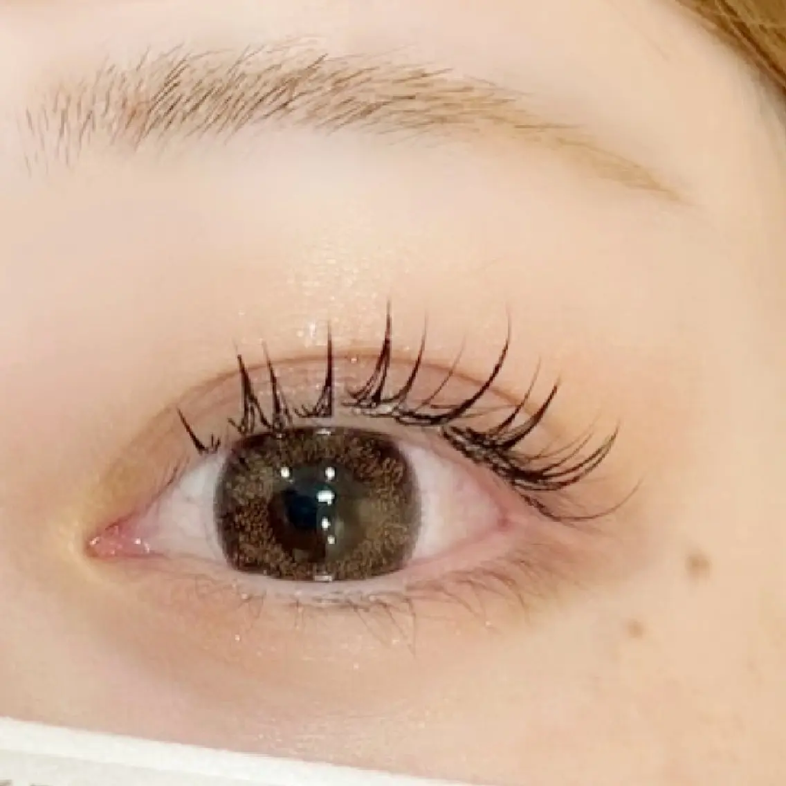 マツエク・マツパ フラットラッシュ REMIA eyelashのマツエク・マツパデザイン