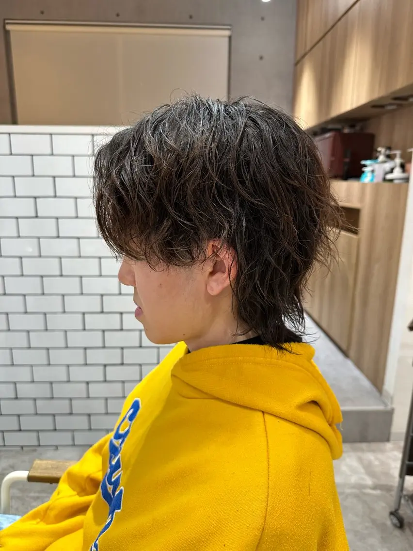 パーマ メンズ メンズウルフカット ウルフカット カット パーマ 💎メンズカット ／フェザー／細野💎のヘアスタイル