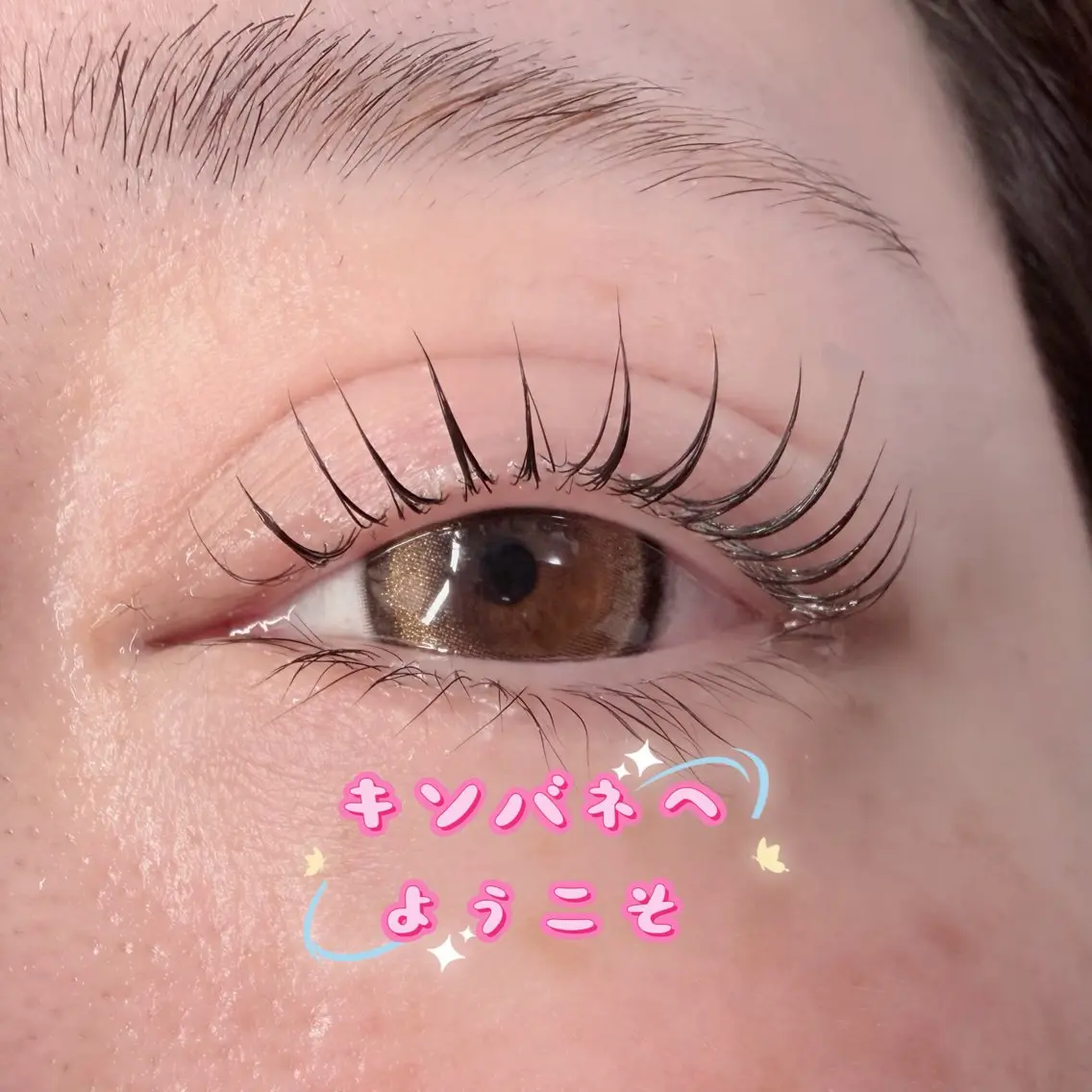 マツエク・マツパ 韓国風マツエク パリジェンヌラッシュリフト まつげパーマ 下まつげエクステ 一重×まつ毛パーマ マツパ キンバネ・サロン 高田馬場店のマツエク・マツパデザイン