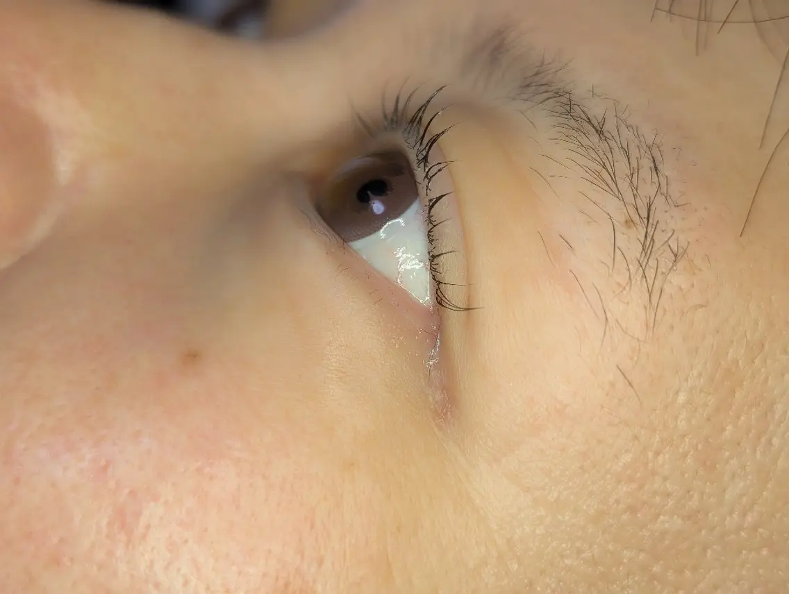 マツエク・マツパ 一重×まつ毛パーマ マツパ EYELASH lino 合志市のマツエク・マツパデザイン