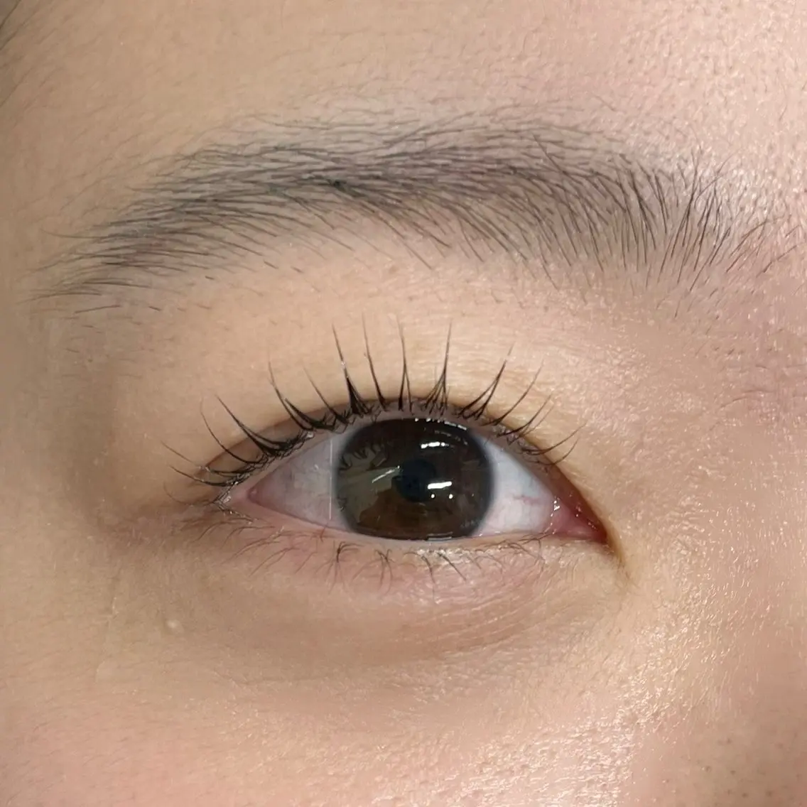 マツエク・マツパ Eden Eyelashのマツエク・マツパデザイン