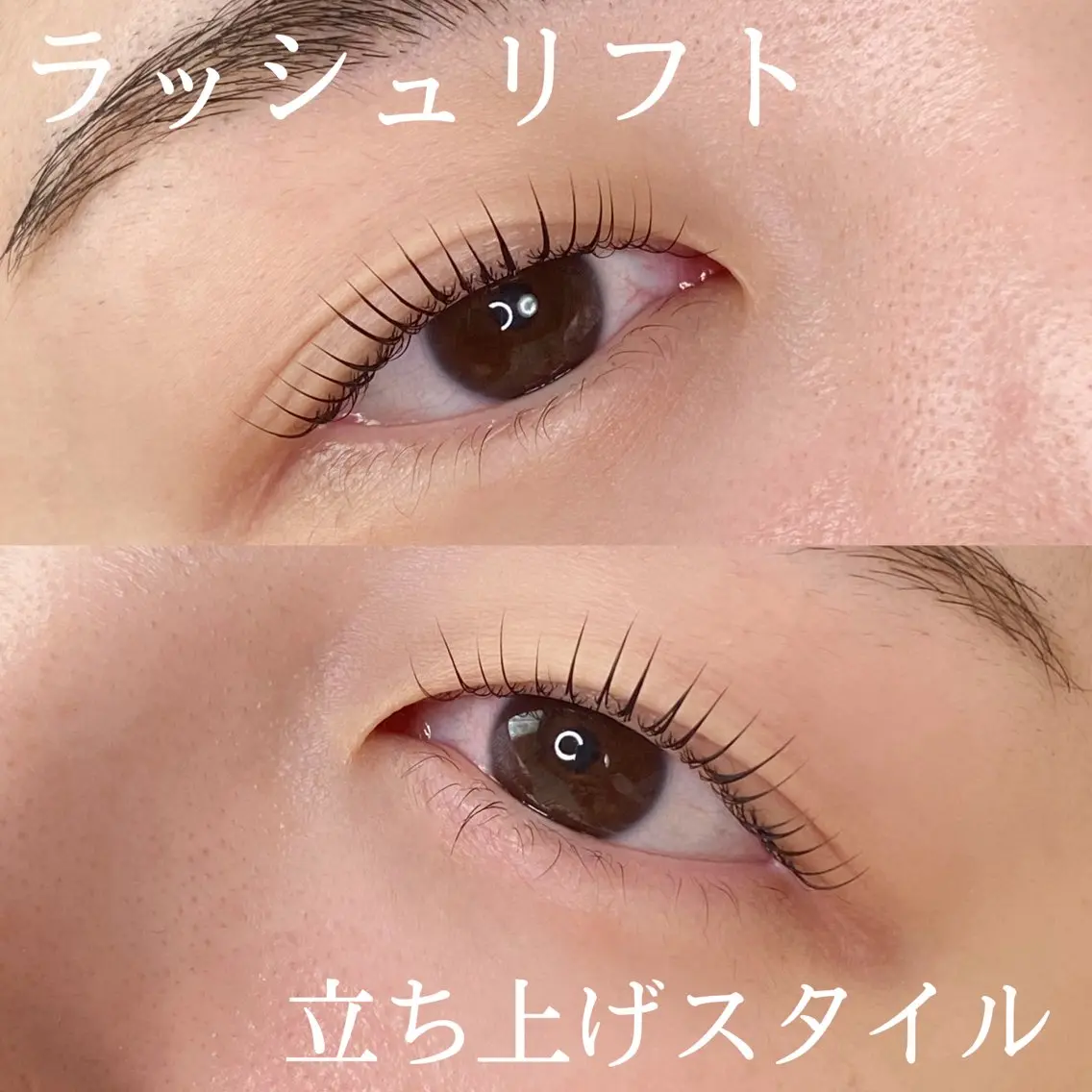 【ミニモ限定】上ラッシュリフト(まつげパーマ)の写真