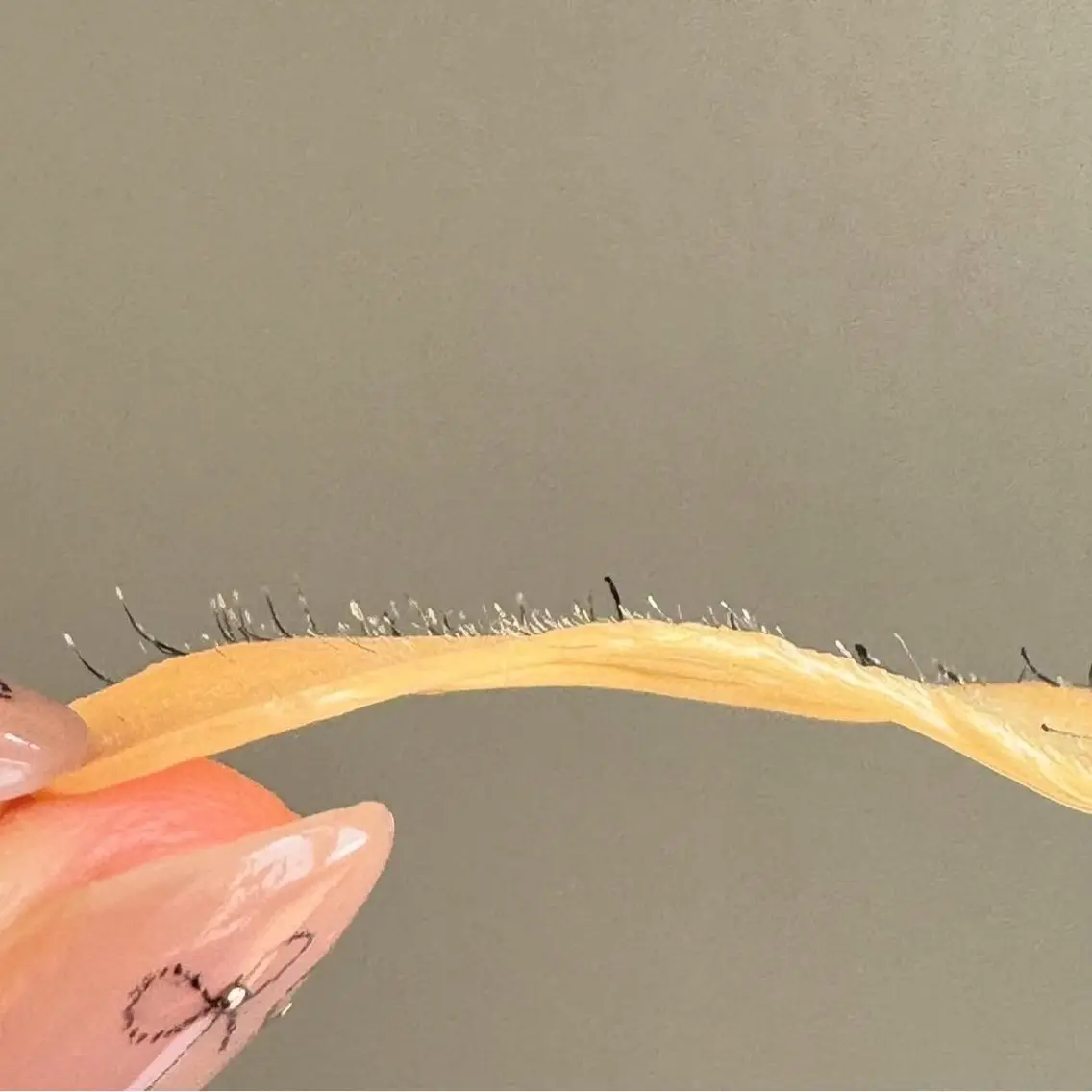 肌が綺麗になるフェイスワックス✨️の写真