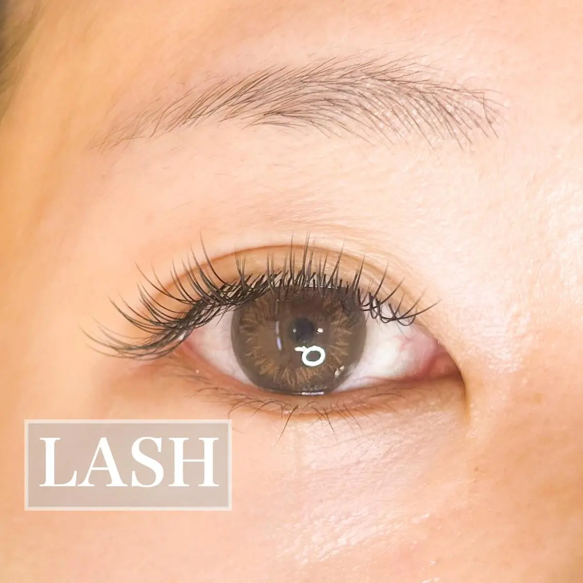 マツエク・マツパ LASH YUMIのマツエク・マツパデザイン