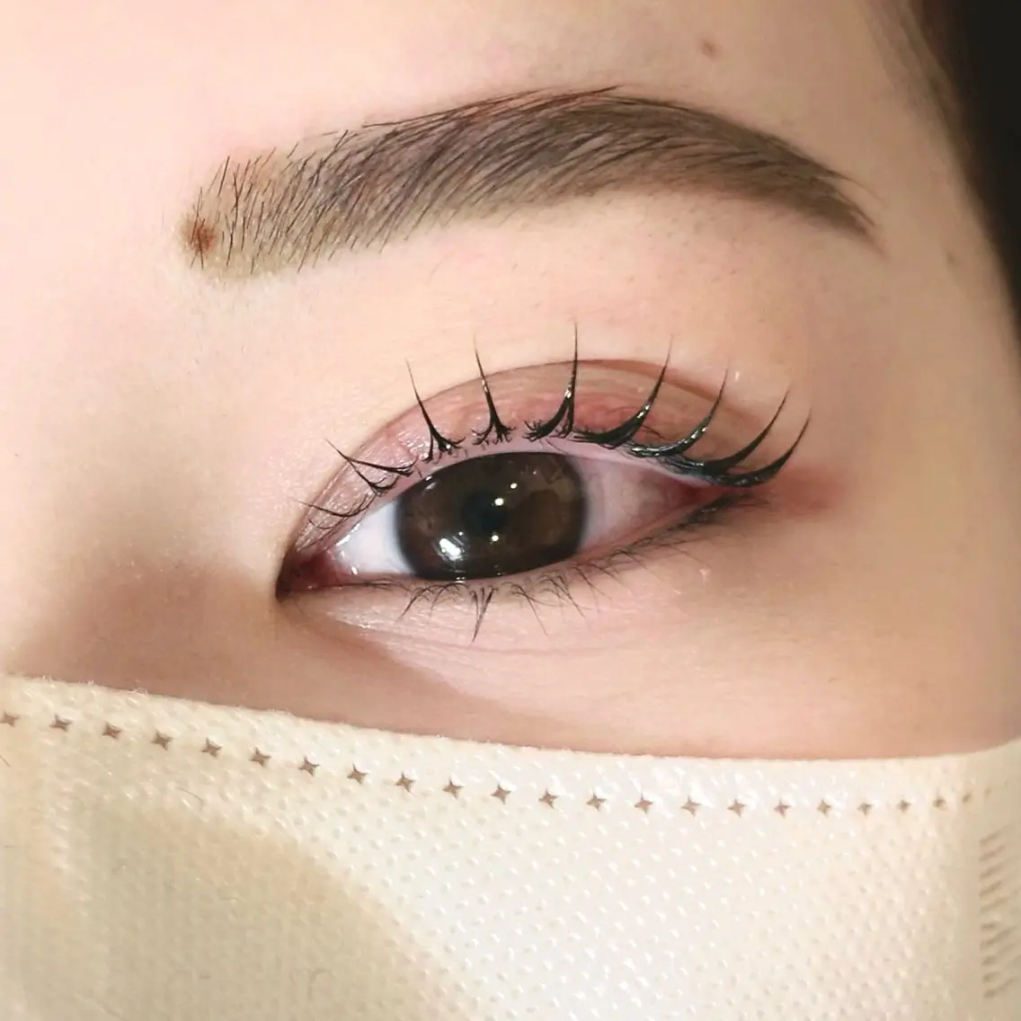 【学割U24🧑‍🎓まつ毛パーマ💫¥4250】つやつやトリートメント付き🌱の写真