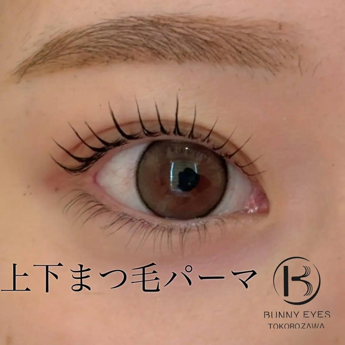 マツエク・マツパ まつげパーマ Bunnyeyes 村岸の眉毛・アイブロウイメージ