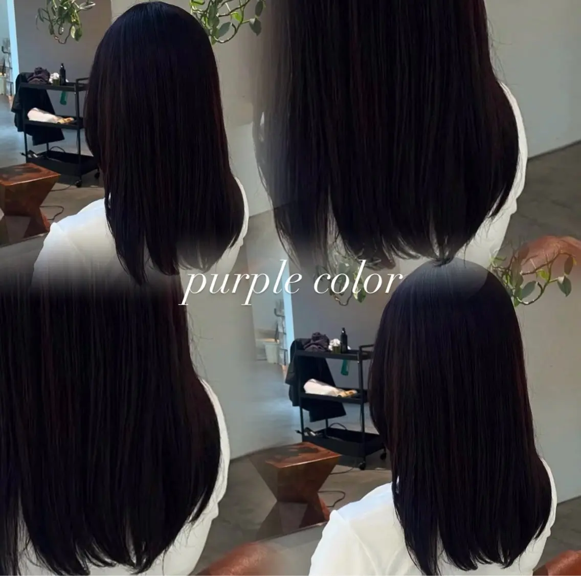セミロング パープルカラー ヘアカラー トリートメント カラーモデル募集中 .꒰ঌ虹奈໒꒱のヘアスタイル