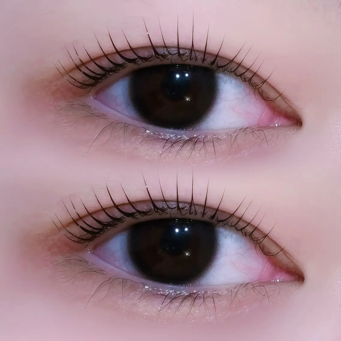 マツエク・マツパ パリジェンヌラッシュリフト マツパ EYELA🤍 蓜島のマツエク・マツパデザイン