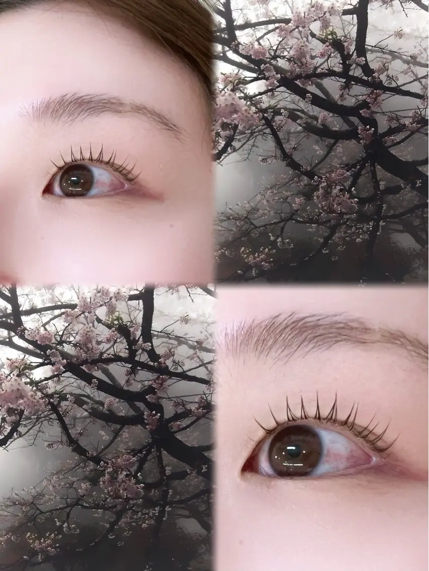 マツエク・マツパ Choco Lash 🍫🎀momoのマツエク・マツパデザイン
