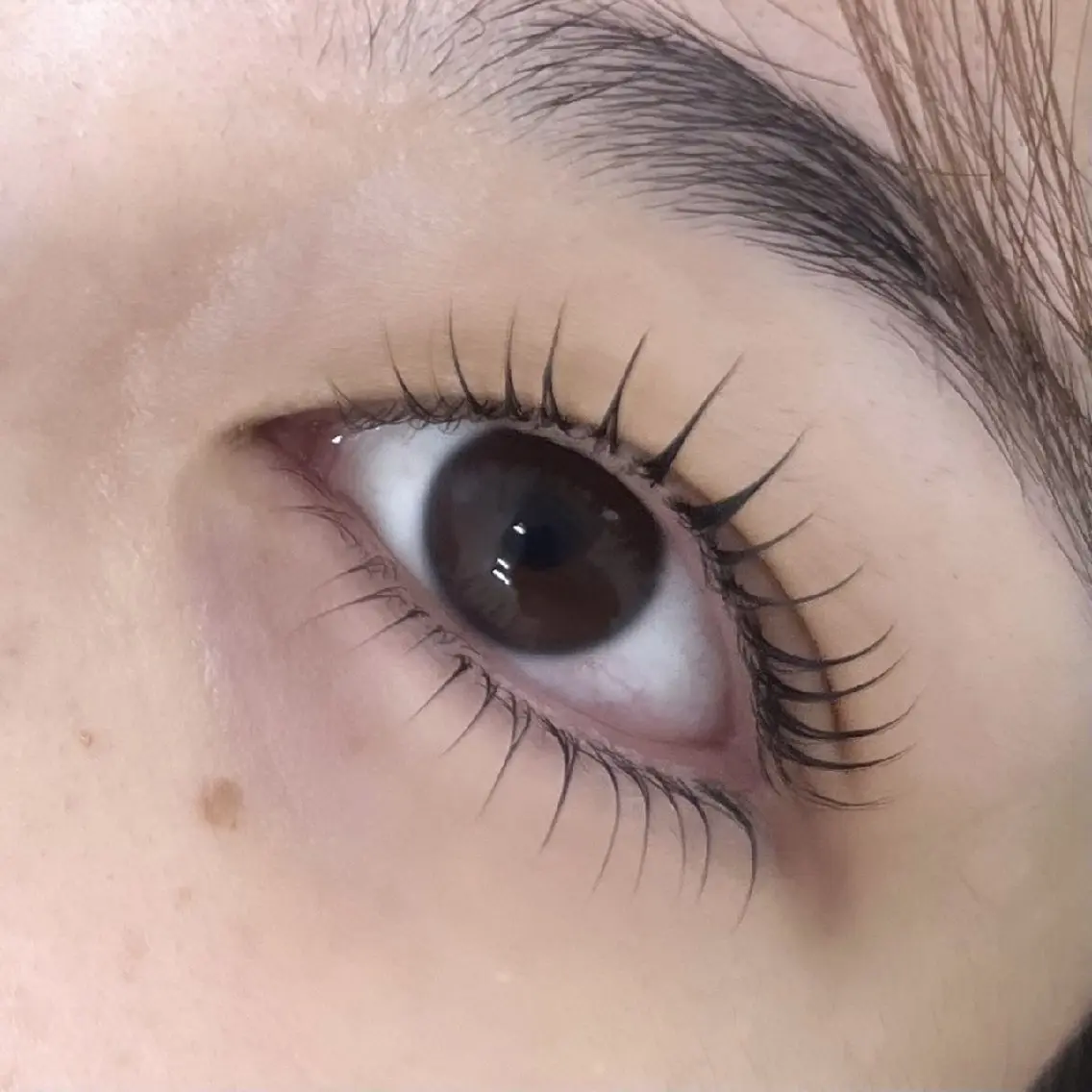 目力アップ💖上下まつ毛パーマ(コーティング付)の写真