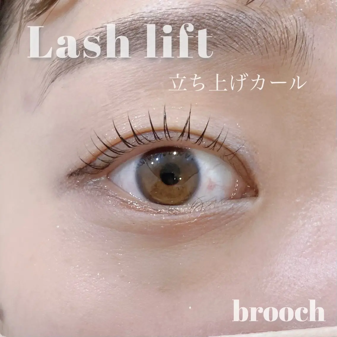 ケラチンラッシュリフト🌙の写真