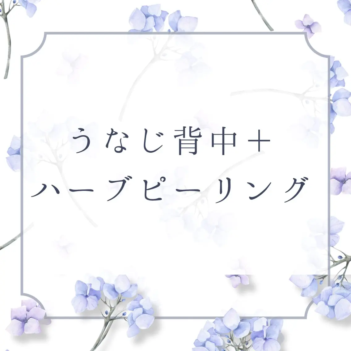 【梅雨・夏前対策☔🌿】うなじ背中光脱毛+ハーブピーリング ¥11,000の写真