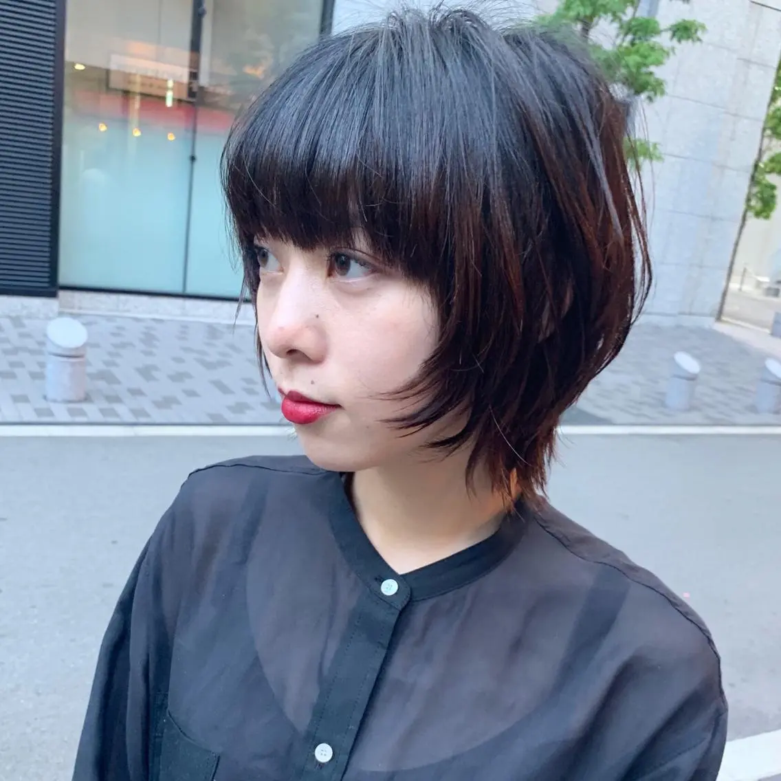 カットの写真