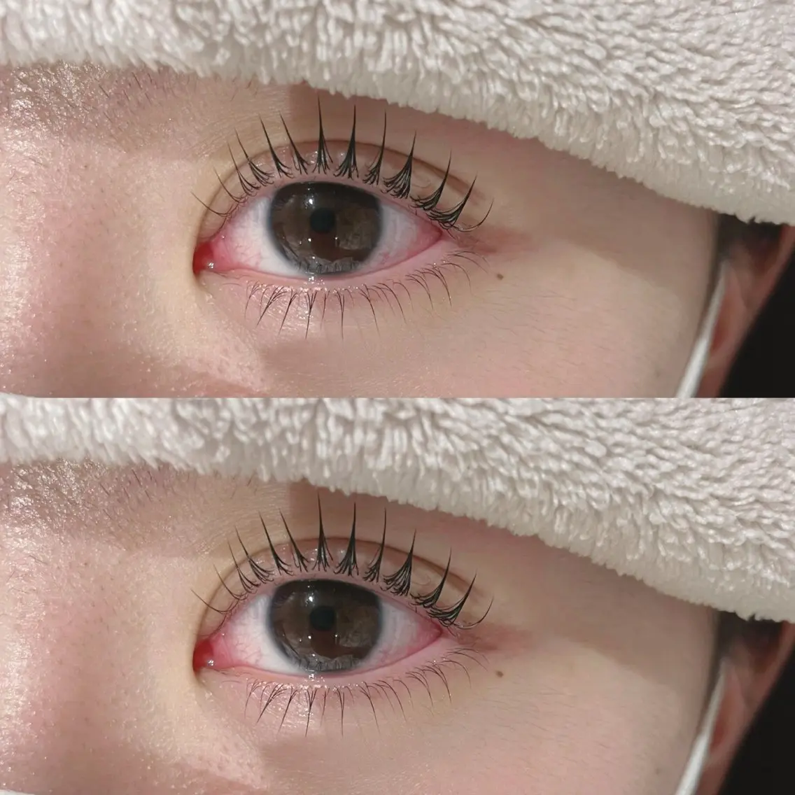 上下まつ毛パーマ(下パーマはモデル様になります。)の写真