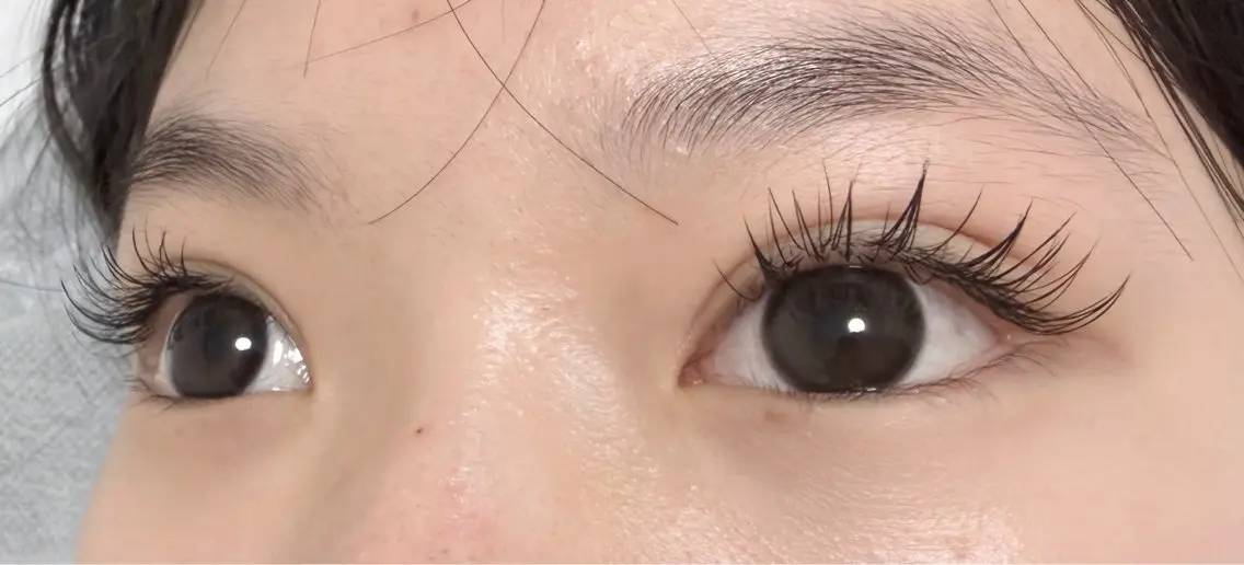 フラットラッシュ120本の写真
