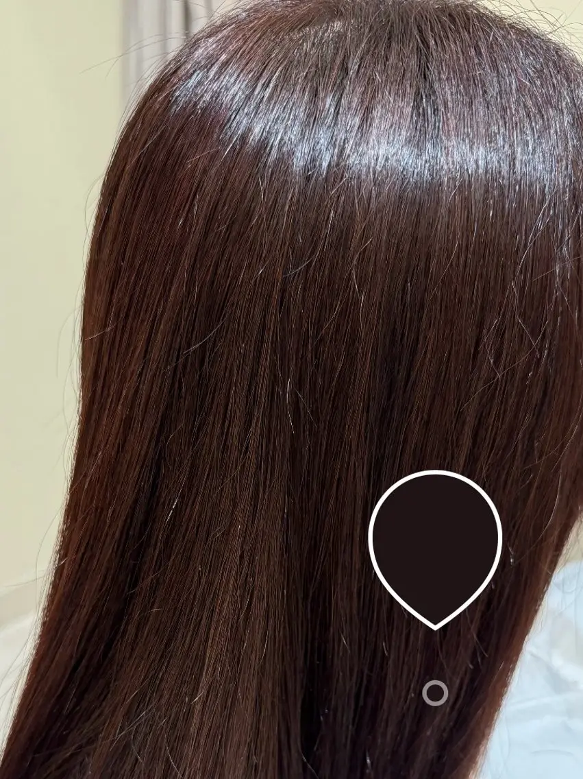 ロング カラー ブラウンカラー カシス カット ヘアカラー たにわき あんのヘアスタイル