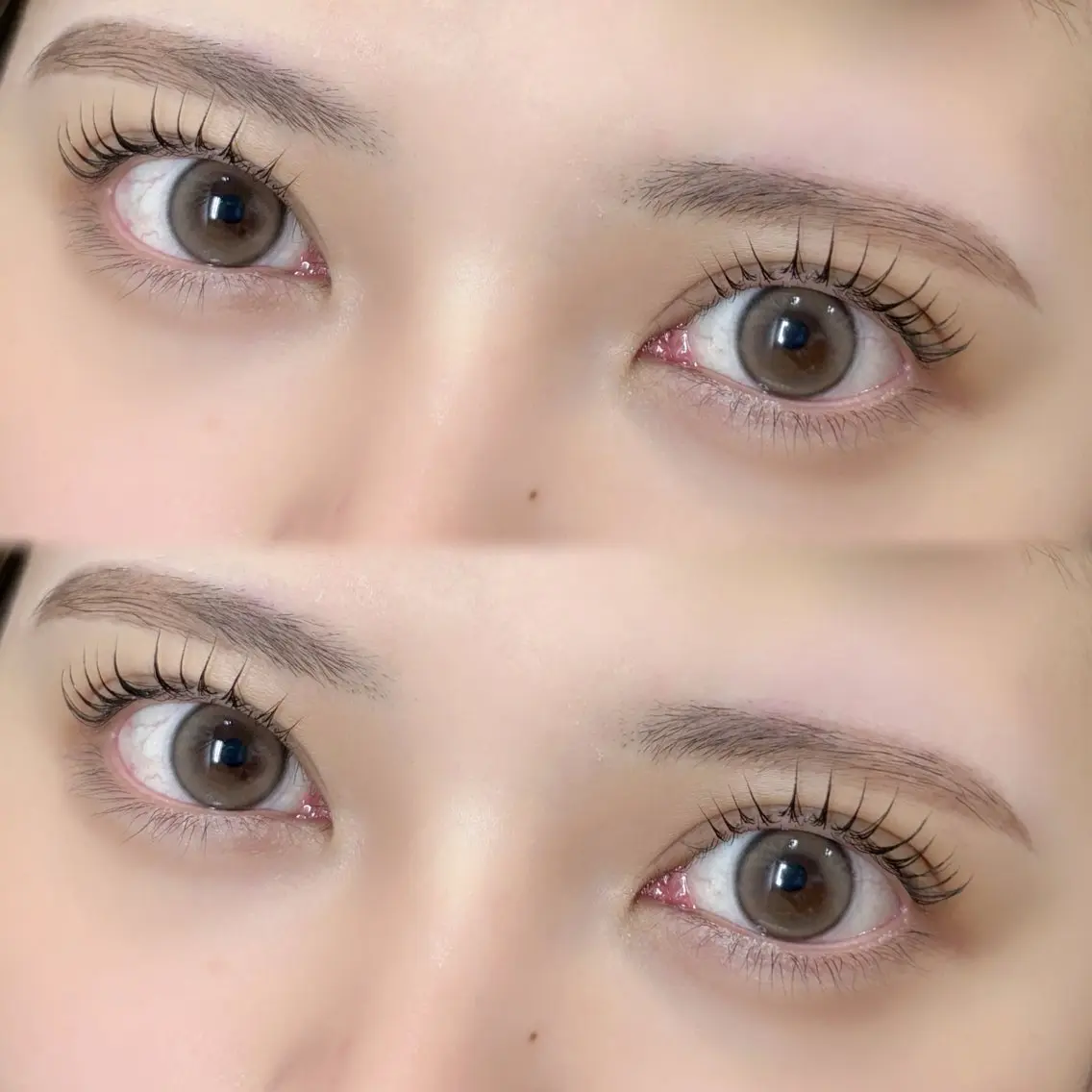 パリジェンヌラッシュリフト👁️♥の写真