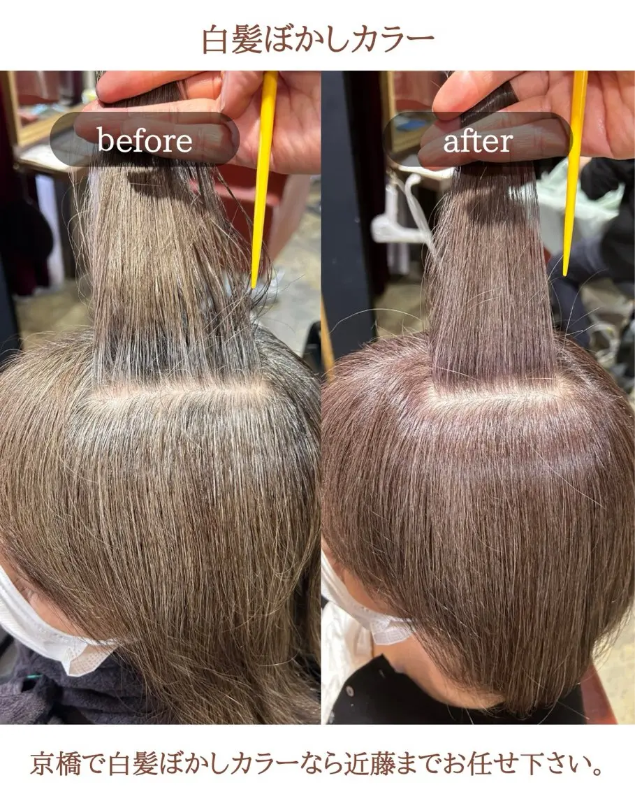 ショート カラー ハイライトカラー ハイライト 縄 勇希のヘアスタイル